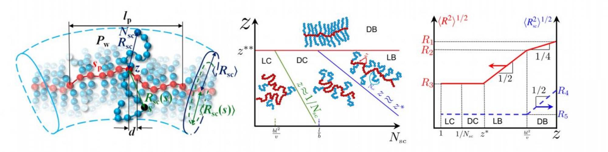 Rubinstein, Colby - Polymer Physics