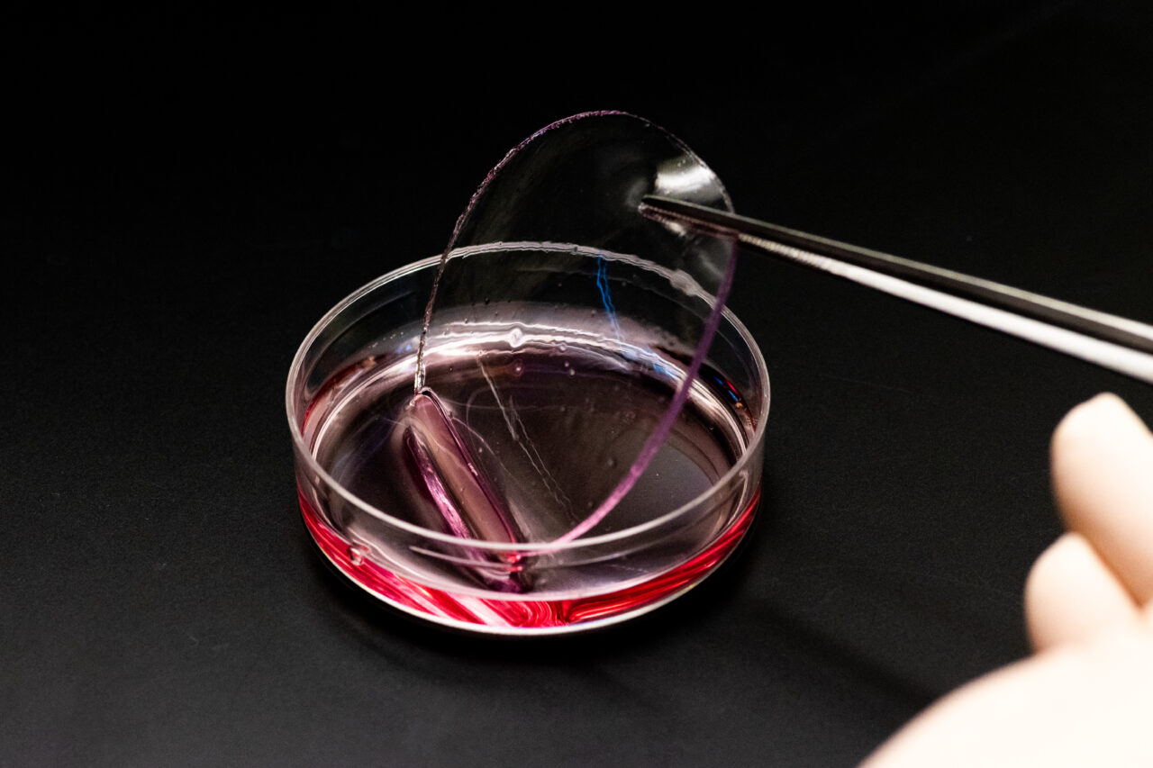 記事広告 “Hydrogel-based materials: a new weapon against cancer